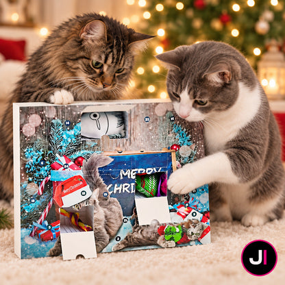 Cat Advent Calendar Christmas Countdown Blind Box