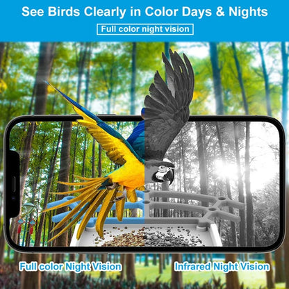 AI Smart Bird Feeder Camera – HD Camera, Bird Species Recognition, Solar Powered - image 6