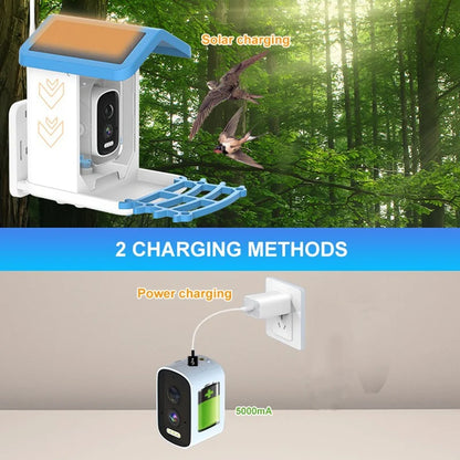 AI Smart Bird Feeder Camera – HD Camera, Bird Species Recognition, Solar Powered - image 5