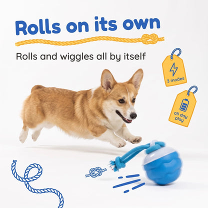 (Buy 1 Get 1 FREE) - Sound-Activated Interactive Rolling Ball Dog Toy