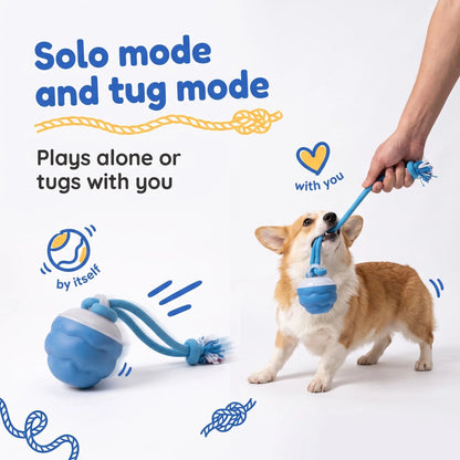 (Buy 1 Get 1 FREE) - Sound-Activated Interactive Rolling Ball Dog Toy