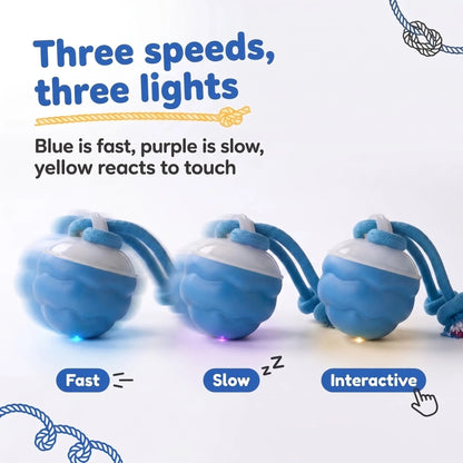 (Buy 1 Get 1 FREE) - Sound-Activated Interactive Rolling Ball Dog Toy