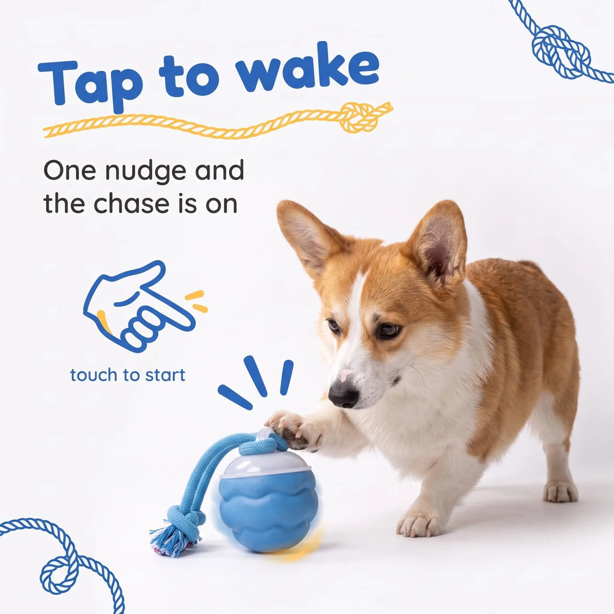 (Buy 1 Get 1 FREE) - Sound-Activated Interactive Rolling Ball Dog Toy