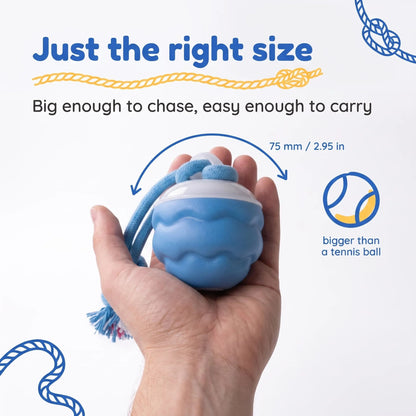 (Buy 1 Get 1 FREE) - Sound-Activated Interactive Rolling Ball Dog Toy