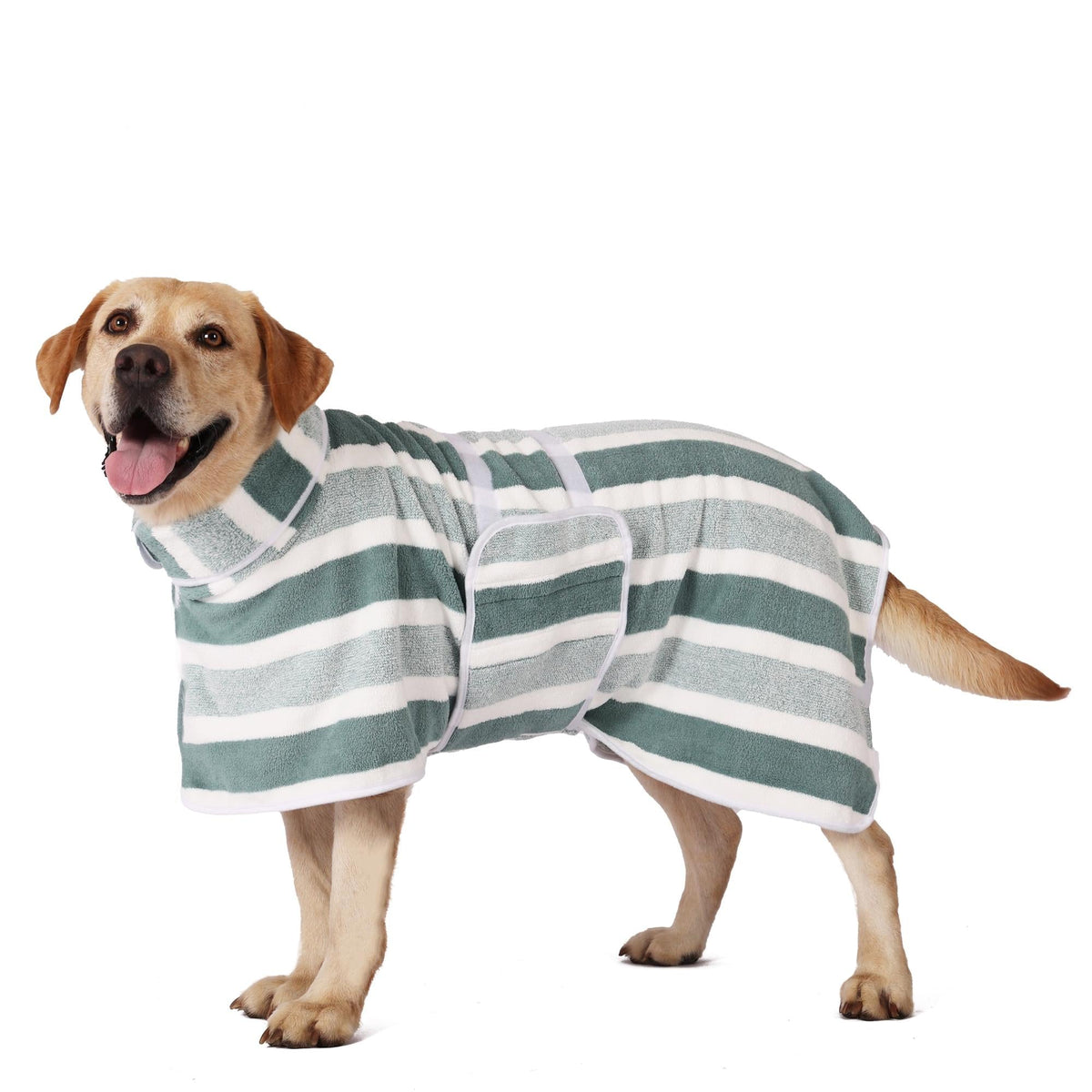 Dog wearing a green and white striped absorbent towel wrap with an adjustable belly band